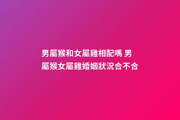 男屬猴和女屬雞相配嗎 男屬猴女屬雞婚姻狀況合不合